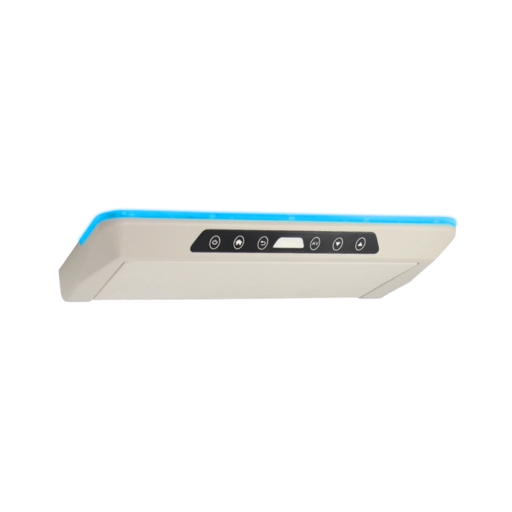 12.3 inch Li Auto ONE Car Roof Multimedia Monitor（SF-1233）
