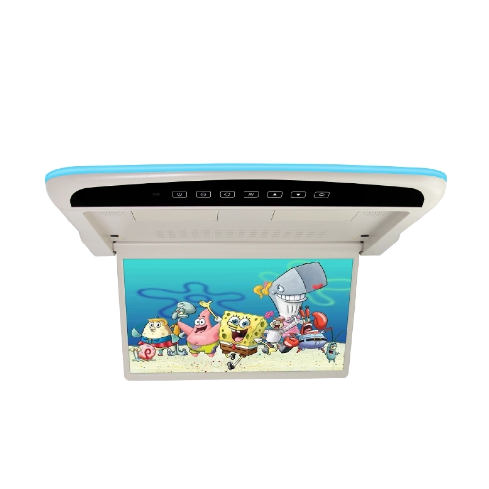 15.6 inch Car Roof Multimedia Monitor（SF-1567）