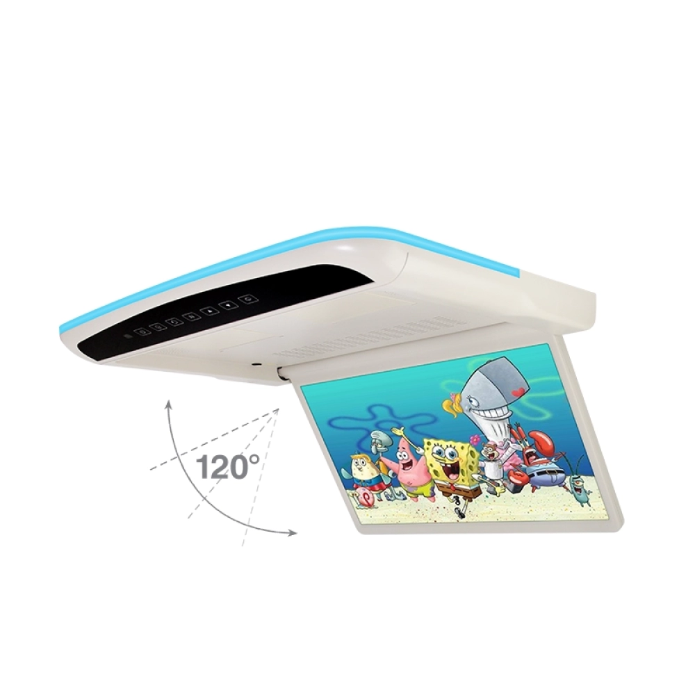 15.6 inch Car Roof Multimedia Monitor（SF-1567）