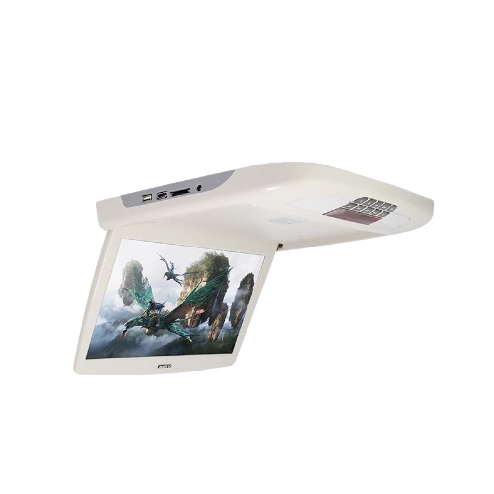 13.3 inch Car Roof Multimedia Monitor（SF-1358）