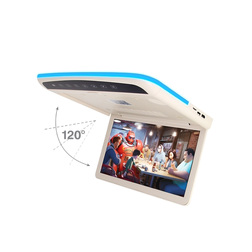 11.6 inch Car Roof Multimedia Monitor（SF-1165）