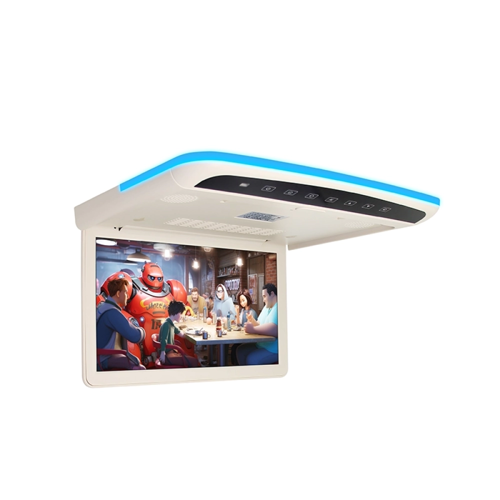 11.6 inch Car Roof Multimedia Monitor（SF-1165）