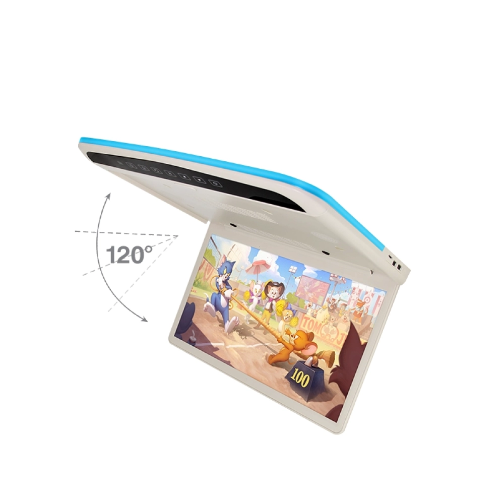 15.6 inch Car Roof Multimedia Monitor（SF-1565）