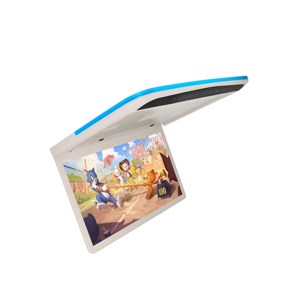 15.6 inch Car Roof Multimedia Monitor（SF-1565）